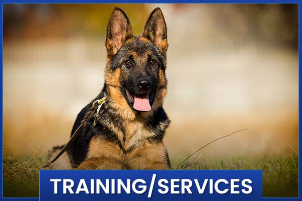 Services EasTex K9 Dog Training LLC Services